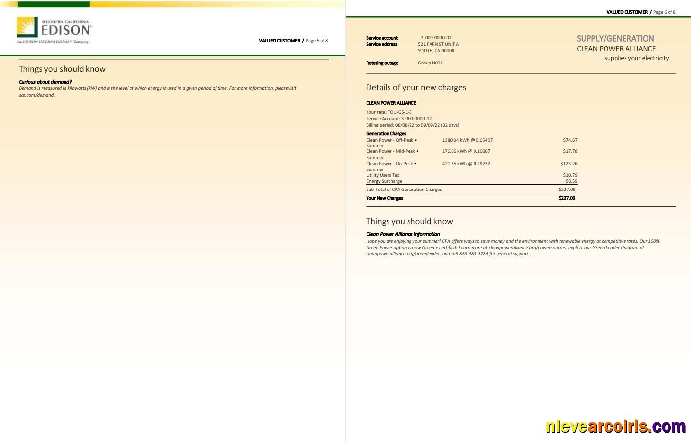 USA Southern California EDISON utility bill, 8 pages 5 6